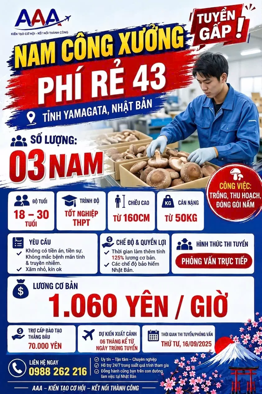 NAM CÔNG XƯỞNG - PHÍ RẺ 43