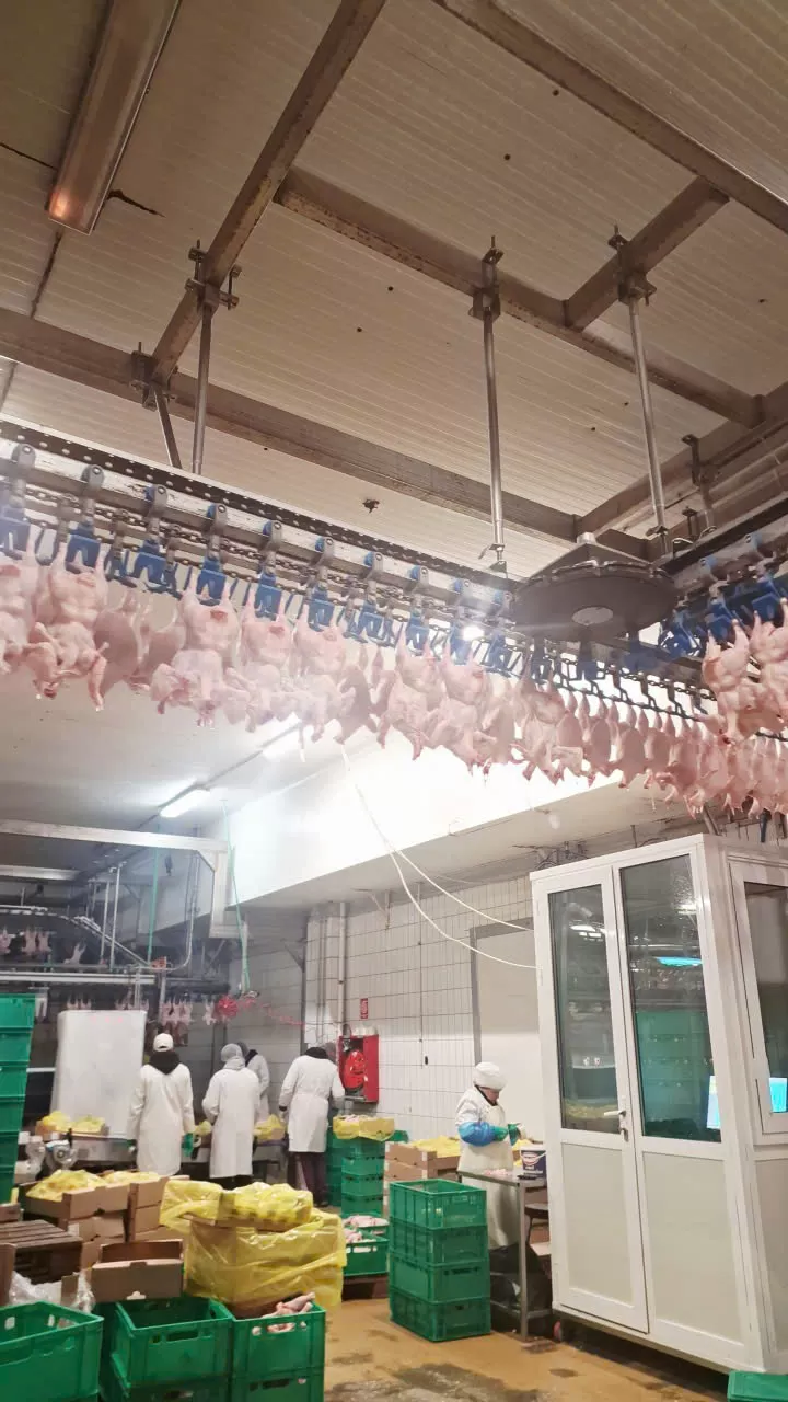 TUYỂN NAM NỮ / CẶP VỢ CHỒNG LÀM VIỆC TẠI HY LẠP - CHẾ BIẾN THỊT GÀ