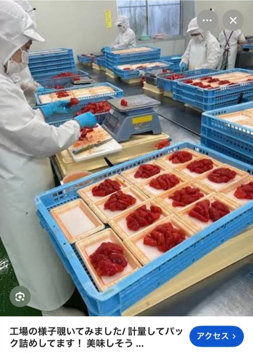 NỮ TP LƯƠNG CAO, NHẬN XĂM KÍN, NĂM THƯỞNG 3 LẦN