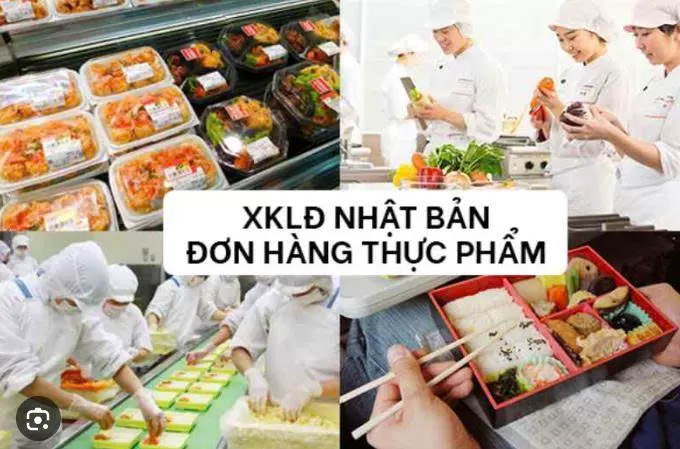 Đơn Hàng Chế Biến Thực Phẩm Siêu Thị (Gunma, Nhật Bản