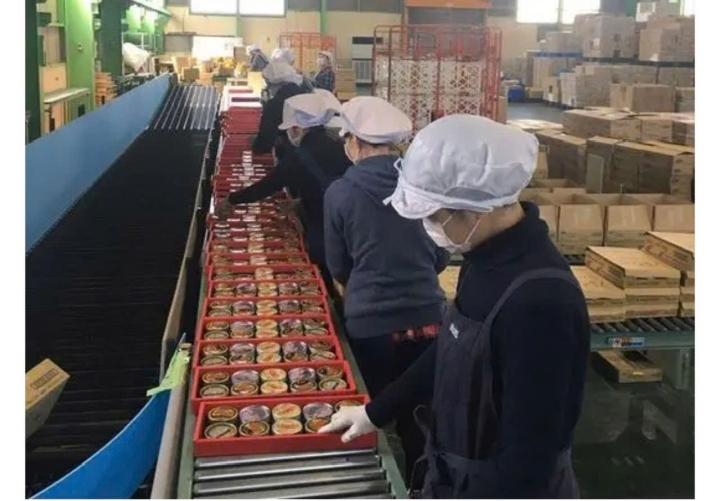 ĐƠN HÀNG NỮ THỰC TẬP SINH ĐÓNG GÓI CÔNG NGHIỆP