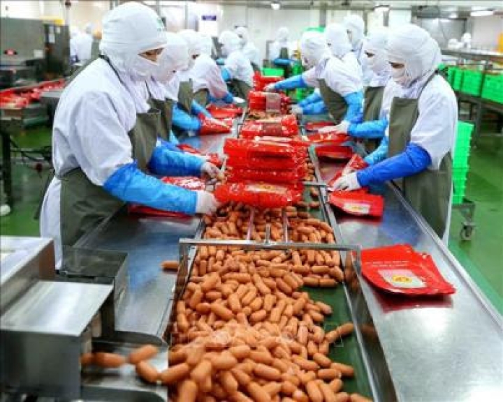 NỮ CHẾ BIẾN THỰC PHẨM – KANTO