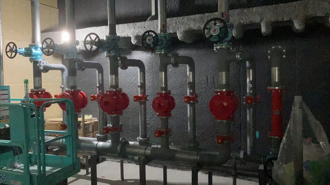 BAO ĐỖ NAM – LÀM TRONG NHÀ – LƯƠNG 20 MAN – PHÍ 3.600