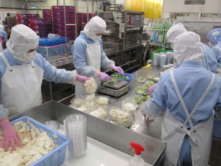 ĐH 51558 CHẾ BIẾN THỰC PHẨM PHÍ RẺ