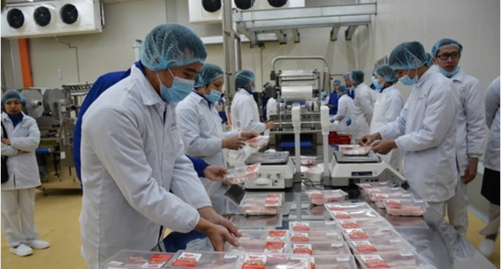 NAM CHẾ BIẾN THỰC PHẨM – THI GẤP – PHÍ RẺ – LƯƠNG CAO