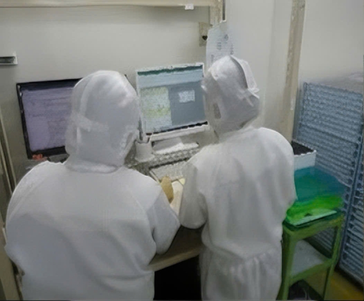 NAM ĐIỆN TỬ LƯƠNG CAO