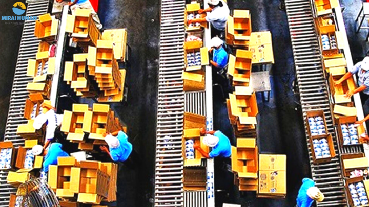 ? ĐƠN HÀNG NỮ OSAKA – LƯƠNG CAO – CHO NỢ PHÍ ?