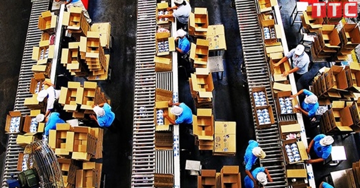 ĐH 10.13.60 NỮ ĐÓNG GÓI KANTO TRUYỀN THỐNG LƯƠNG CAO